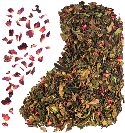 Róża Kairu - biała różana